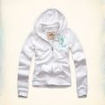   Hollister Lobster Point Shine Hoodie (352-521-0065-001) Size XS