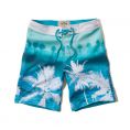   Hollister Swim Shorts (333-340-0322-026) Size M