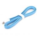  BWOO USB with Lightning connector Blue