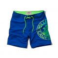   Hollister Swim Shorts (333-340-0359-020) Size XL