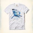   Hollister Seacliff T-Shirt (323-243-1337-001) Size M