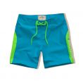   Hollister Swim Shorts (333-340-0291-024) Size L