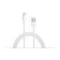  Apple Lightning to USB Cable MD818 OEM