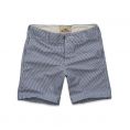   Hollister Monarch Beach Shorts (328-281-0093-027) Size 30