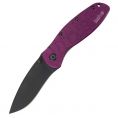   Kershaw 1670SPPR Purple Web Blur