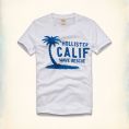   Hollister Hawthorne T-Shirt (323-243-1074-001) Size XL