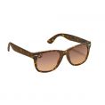   Hollister Classic Hollister Sunglasses (312-100-0017-041)