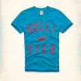   Hollister Desert Springs V Neck T-Shirt (323-243-1200-024) Size M