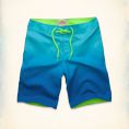   Hollister San Elijo Swim Shorts (333-340-0268-028) Size S