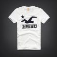   Hollister Santa Monica T-Shirt (323-243-1162-001) Size L