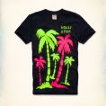   Hollister Rockpile T-Shirt (323-243-1246-023) Size L