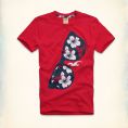   Hollister River Jetties T-Shirt (323-243-1196-050) Size L