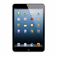  Apple iPad mini 16Gb Wi-Fi Black