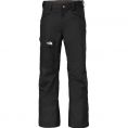   The North Face A7MM0C5 Freedom Insulated Pant Black Size L