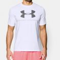 Футболка мужская Under Armour Sportstyle Logo T-Shirt (1257615-100) Size LG