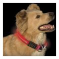 Ошейник светодиодный Nite Ize NiteDawng Led Dog Collar Small Red 25-33 cm (NND-03-10S)