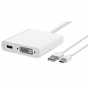  Mini DisplayPort  Dual-Link DVI Apple MB571